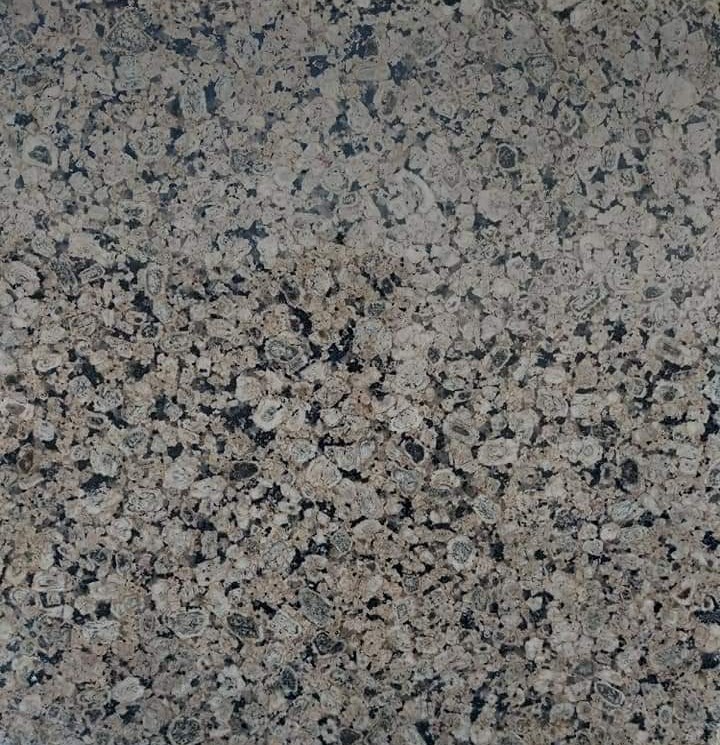 verde ghazal 4