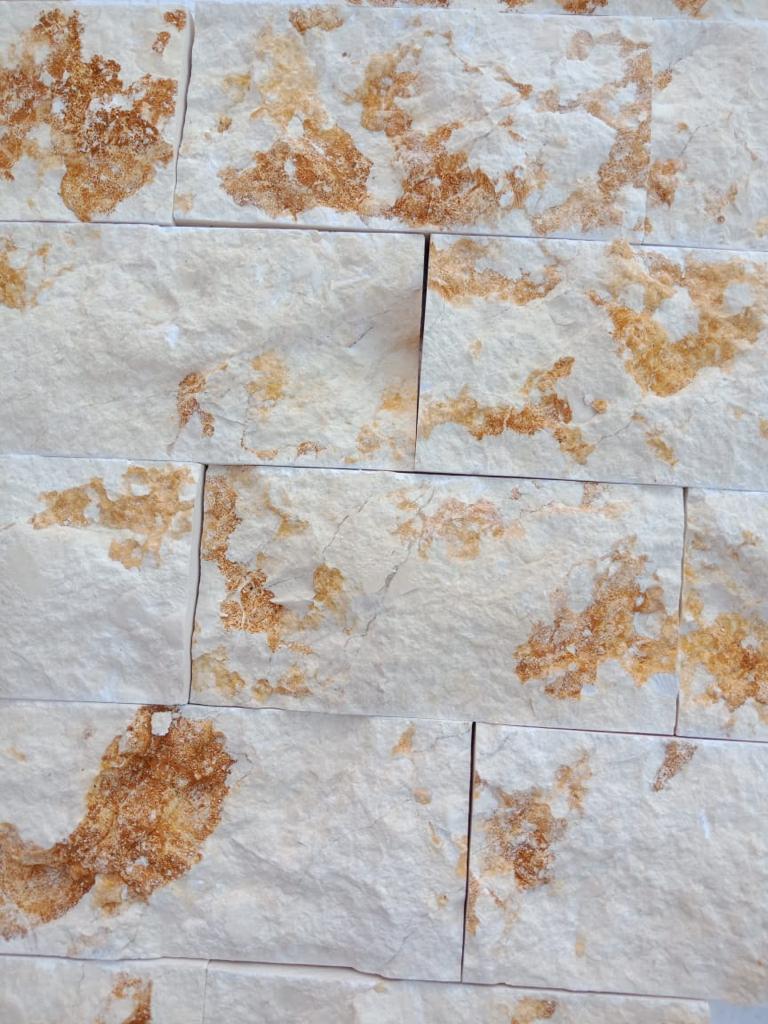 whatsapp image 2022 11 21 at 1.29.34 pm