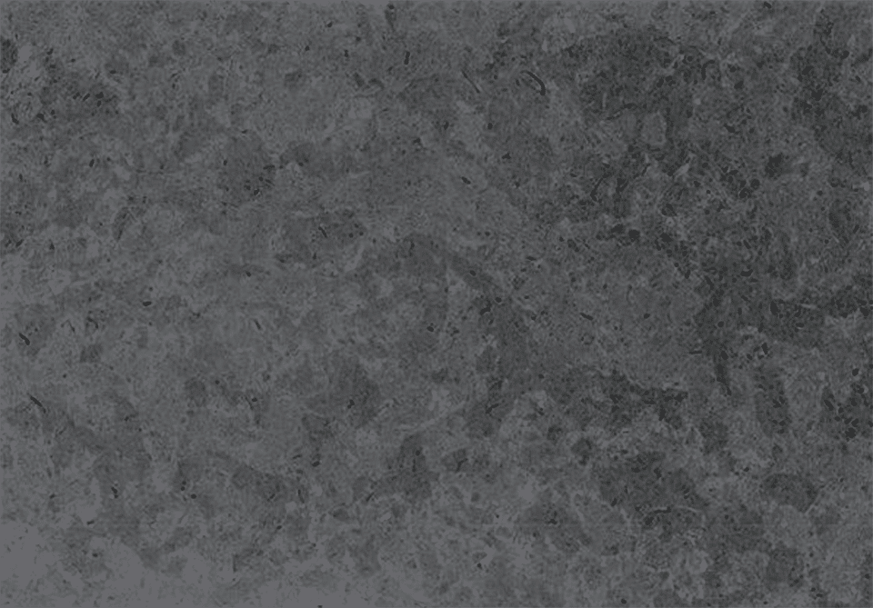 melly gray polished